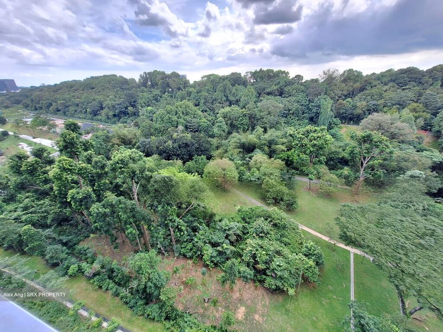 Normanton Park (D5), Apartment #457346671